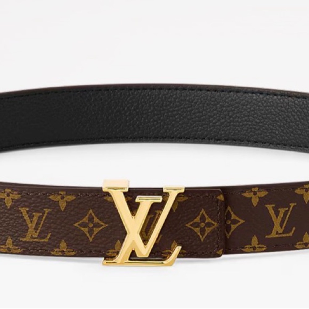 Louis Vuitton Gold and Brown Monogram Belt